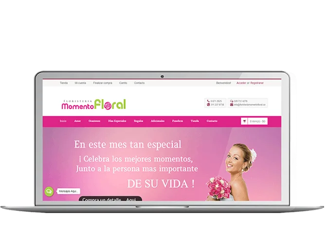 web-2019 web-2019